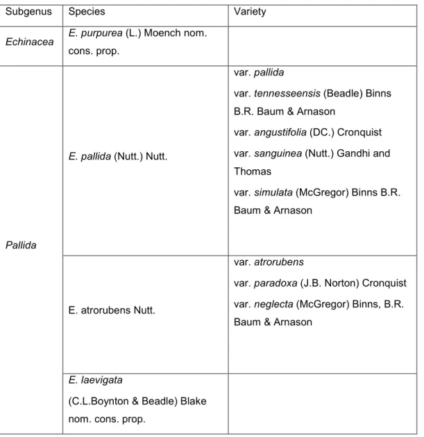 Table 1. Taxonomic classification of the genus Echinacea by Binns (2001). 