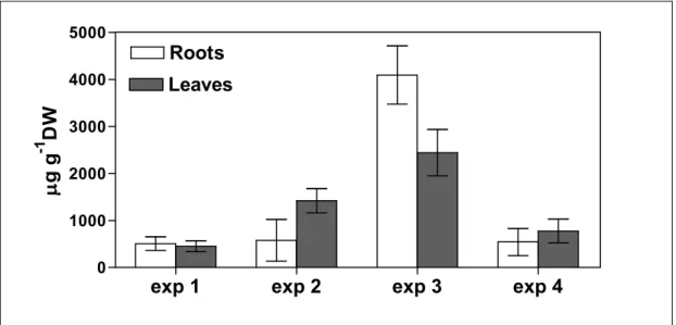 Figure 2. Contents of echinacoside in vegetative root and leaf tissue among  four production batches