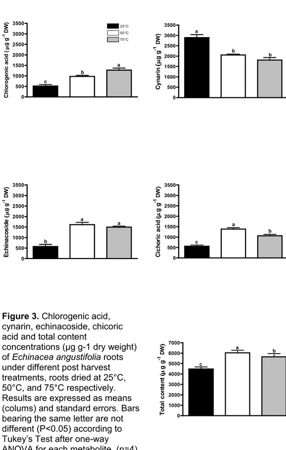 Figure 3. Chlorogenic acid,  cynarin, echinacoside, chicoric  acid and total content 