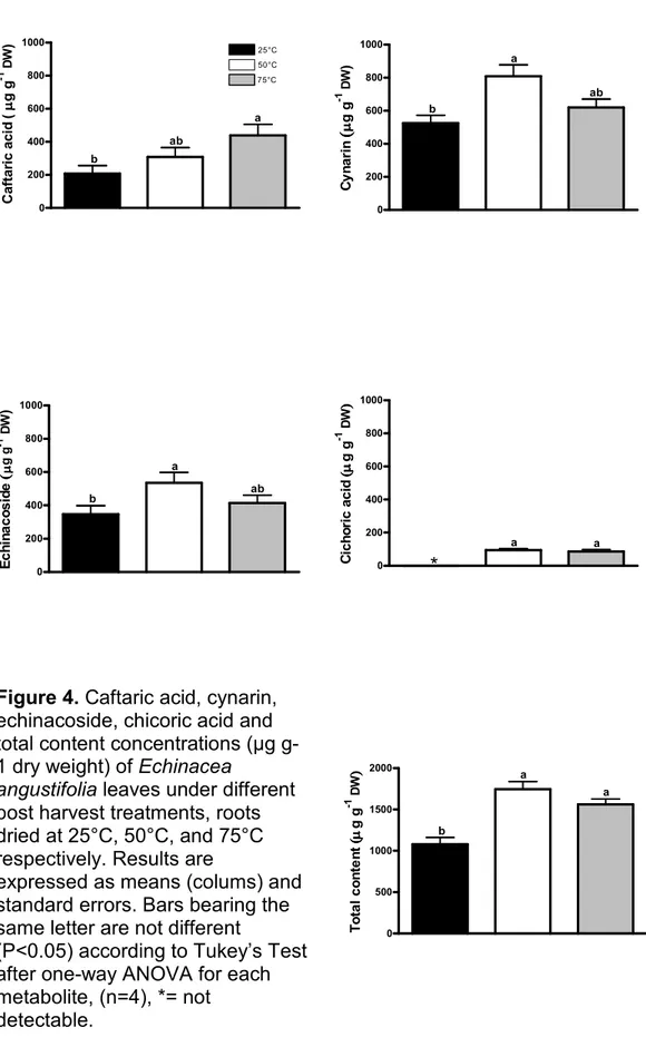 Figure 4. Caftaric acid, cynarin,  echinacoside, chicoric acid and  total content concentrations (µg  g-1 dry weight) of Echinacea 