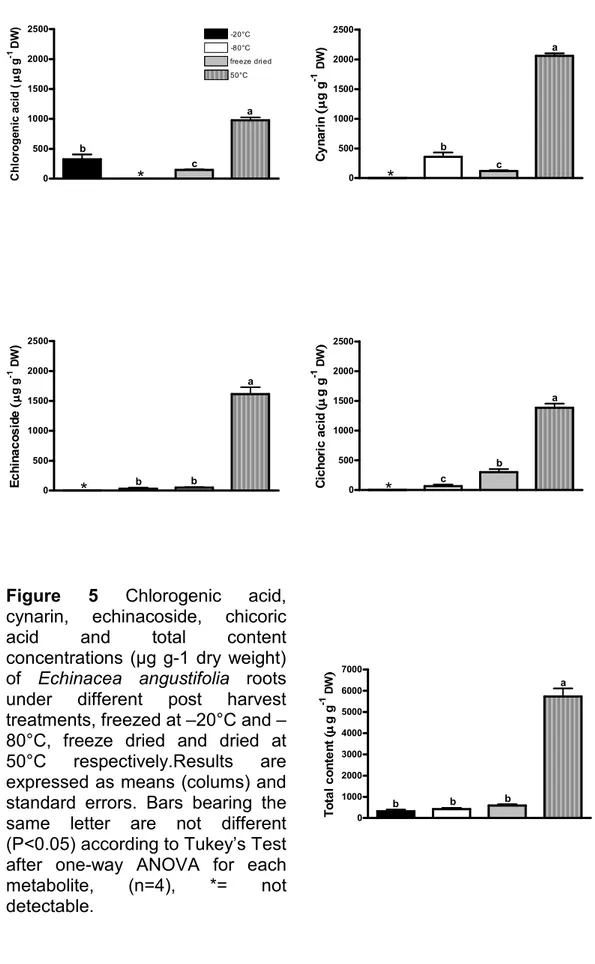 Figure  5  Chlorogenic  acid,  cynarin,  echinacoside,  chicoric  acid  and  total  content  concentrations  (µg  g-1  dry  weight)  of  Echinacea  angustifolia  roots  under  different  post  harvest  treatments, freezed at –20°C and – 80°C,  freeze  drie