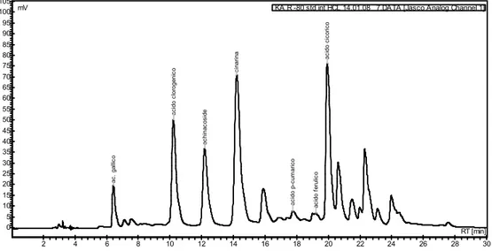 Figure 9. Chromatogram registered at 325 nm of a frozen (-80°C) root  sample extracted with protocol 2+HCl and with addition of internal standard