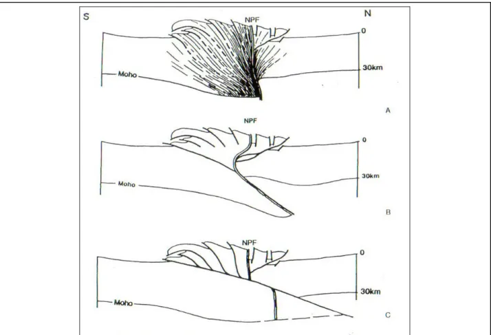 Fig.  4  Modello  schematico  della  struttura  crostale  dei  Pirenei  (Seguret,  1986;  ECORS  1988)