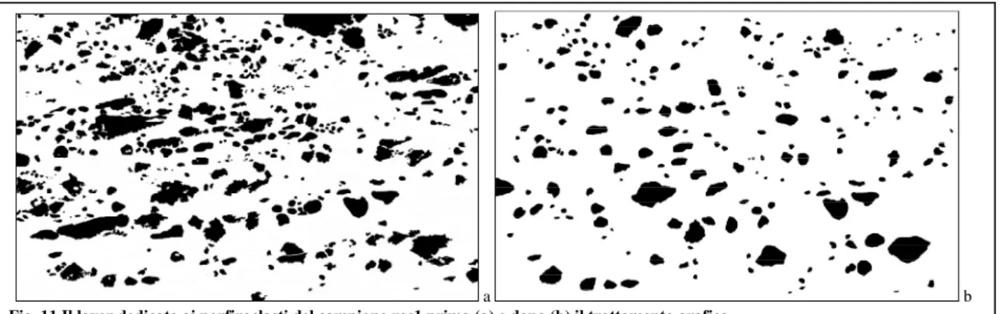 Fig. 11 Il layer dedicato ai porfiroclasti del campione ros1 prima (a) e dopo (b) il trattamento grafico
