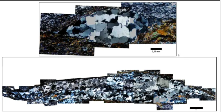 Fig. 7  Collage di immagini digitali dei nastri di quarzo. a) ros8 nastro5 (scala 0,25 mm); b) ros5 nastro1 (scala 1 mm) 