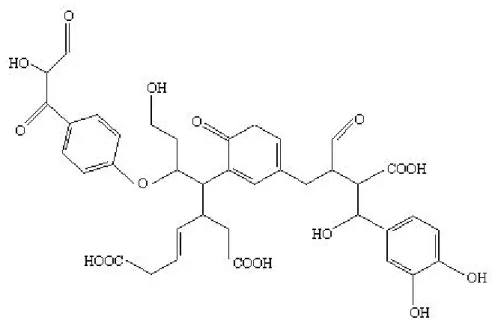 Figura 1.2: Struttura ipotetica della sostanza umica (Stein et al.,1997)