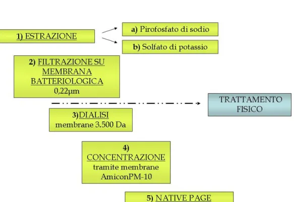 Figura 2.2: Protocollo B con applicazione della NATIVE-PAGE