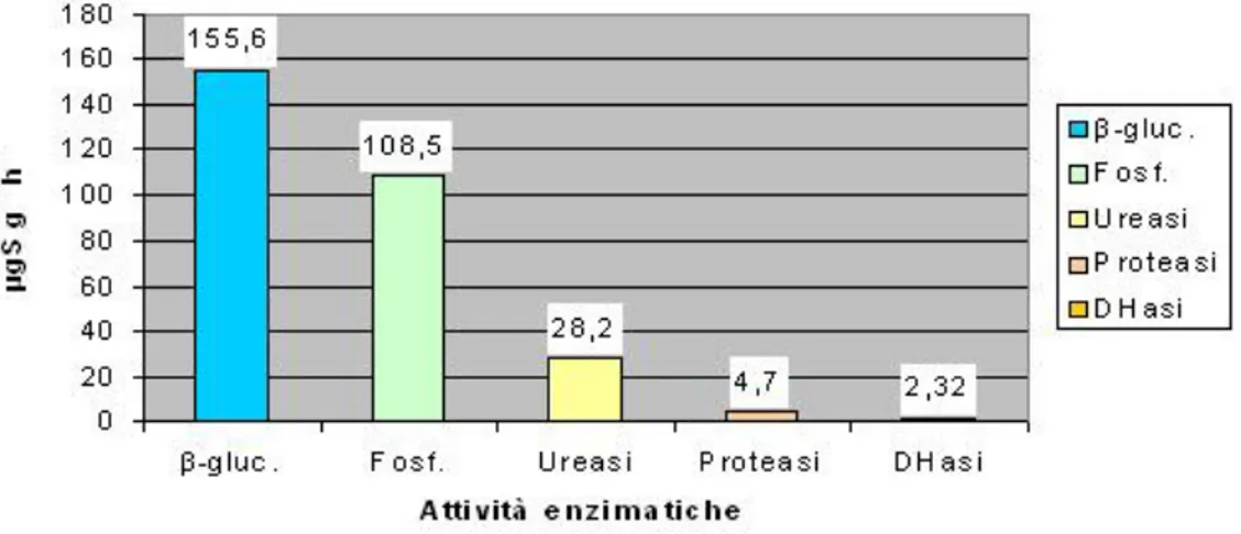 Figura 3.1: Attivit` a enzimatiche totali valutate nel campione. (µg S: µg di substrato)