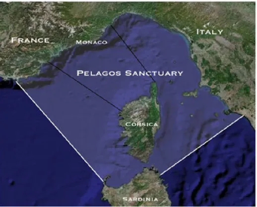 Figura 4. Collocazione geografica del Santuario Pelagos; i bordi neri rappresentano i confini  dell’area di studio