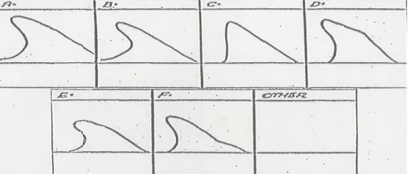 Figura 6. Disegno e descrizione dei profili.  A= standard 