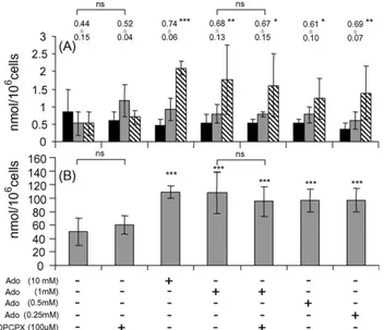 Fig. 4. Effect of pyrimidine nucleosides on the adenylate energy charge and lactate production in astrocytoma cells subjected to ischemic conditions