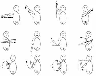 Figura 4. I 12 gesti del braccio indagati.