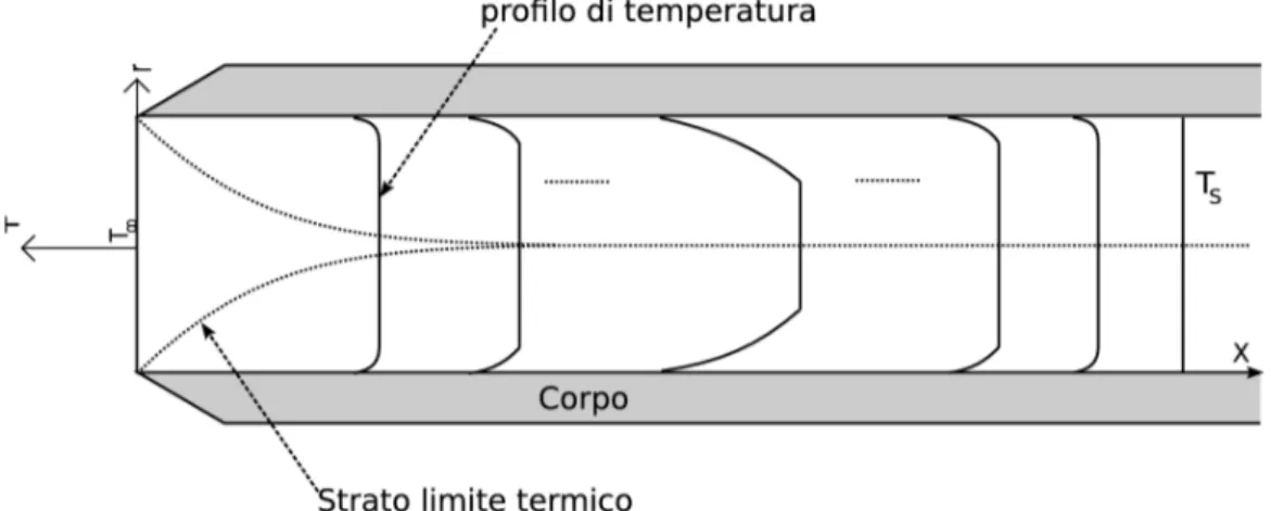 Figura 2.8: Sviluppo dello strato limite termico e andamento del profilo di temperatura di un fluido che scorre in un condotto
