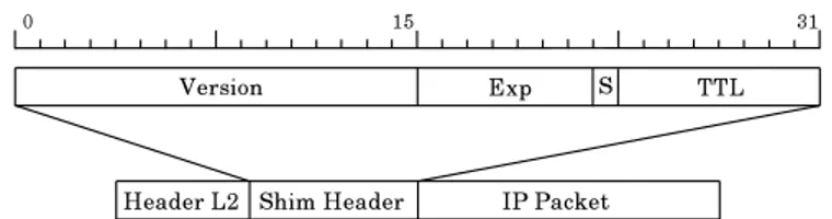 Fig. 1.2: Formato dello shim header MPLS.