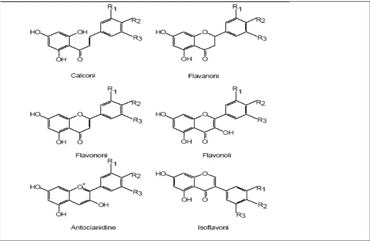 Fig. 1.3: formule di struttura delle principali classi di flavonoidi. R1, R2, R3 possono essere  costituiti da: H, OH e OCH3