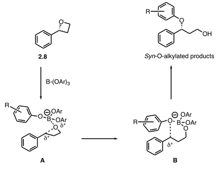 Figure 2.1 Plausible mechanism for the observed syn-stereoselectivity in the O-alkylation pathway.