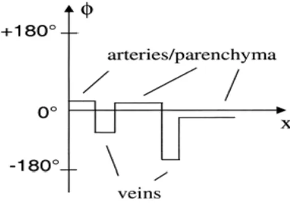 Fig. 4-9. Phase difference between veins and other brain tissues. 