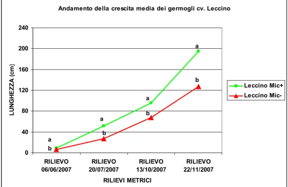 Fig. 13 - Andamento medio della crescita riferita  alla somma totale dei  germogli prodotti da ogni pianta di olivo, cv