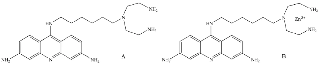 Fig. 4.1. (A) Structure of the bifunctional dye 3,6-diamine-9-[6,6-bis(2-aminoethyl)-1,6- 3,6-diamine-9-[6,6-bis(2-aminoethyl)-1,6-diaminohexyl]acridine, denoted as D in the text