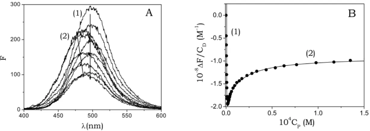 Fig. 4.4. Spectrofluorometric analysis of the binding of D to DNA; C D  = 1 ×10 -6  M, I = 0.10 M 