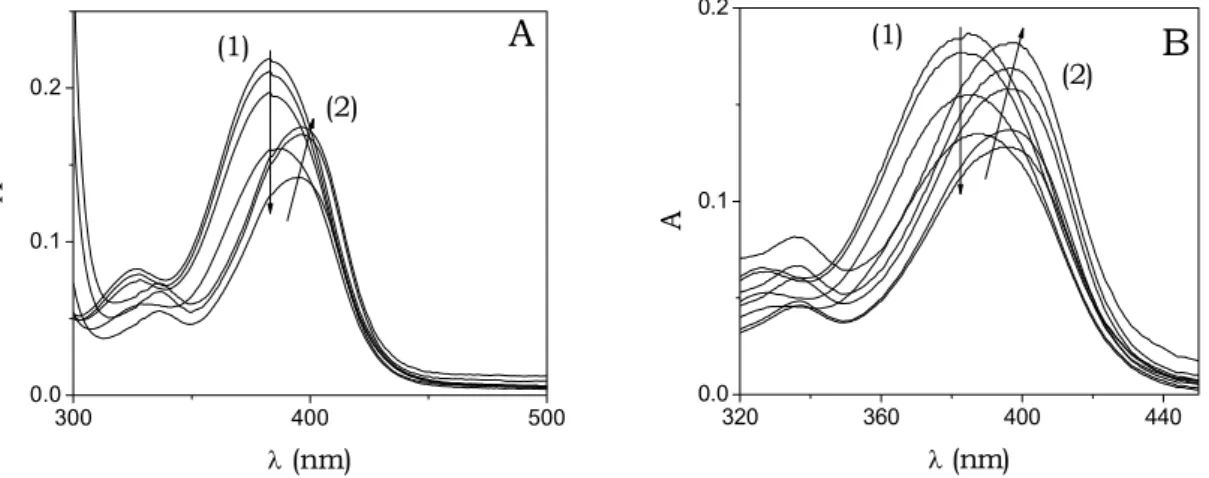 Fig. 4.6. Absorbance spectra collected during titration for the DNA/D (A) and DNA/ZnD (B)  systems; I = 0.10 M (NaCl), T = 25°C