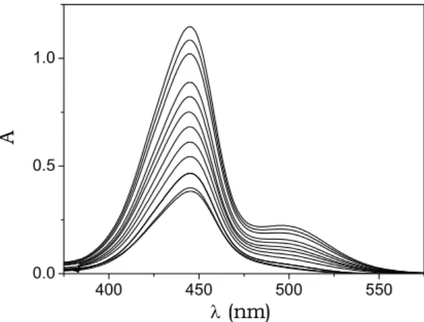 Fig. 5.2. Absorbance spectra of BO at different dye concentrations; I = 0.10 M (NaCl),  pH = 7.0, T = 25°C, optical path = 0.2 cm, C D  = 5.3×10 -5 M  ÷ 2.4×10 -4 M (top)