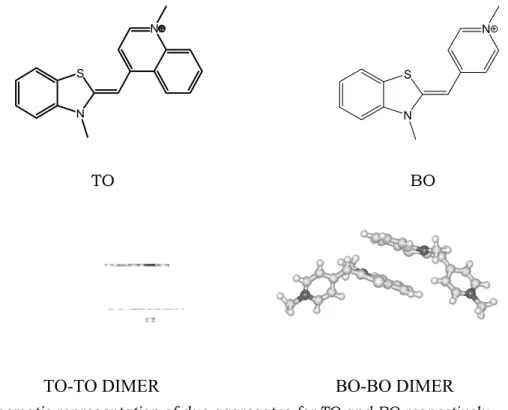 Fig. 5.7. Schematic representation of dye aggregates for TO and BO respectively. 