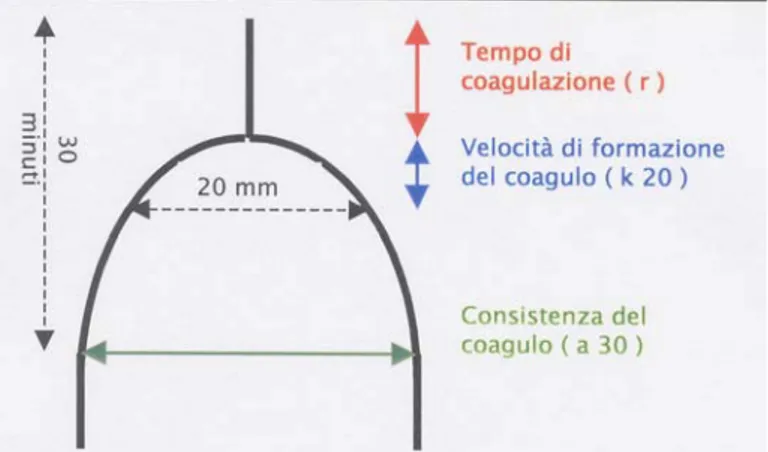 Diagramma delle caratteristiche lattodinamografiche 