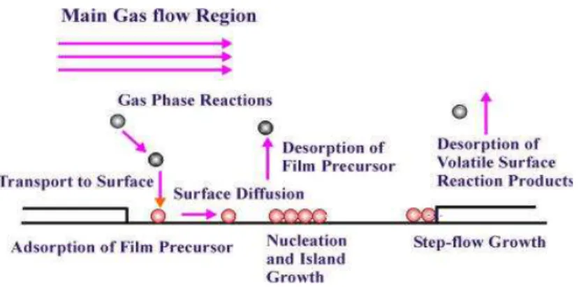 Fig. 3.4 Schematizzazione dei processi di diffusione che avvengono sulla superficie del substrato 