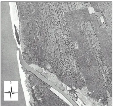 Fig.  5.7  –  Foto  aerea  della  foce  del  fiume  Serchio   (L’erosione litoranea pisana, www.Google.it) 