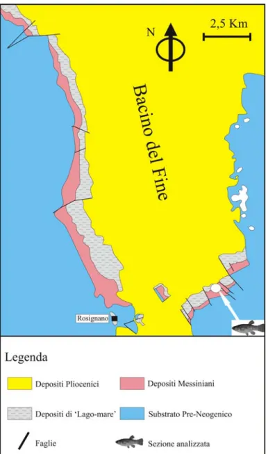 Figura 6.1: Carta geologica della zona del Bacino del fiume Fine e localizzazione della Cava Marmolaio (da