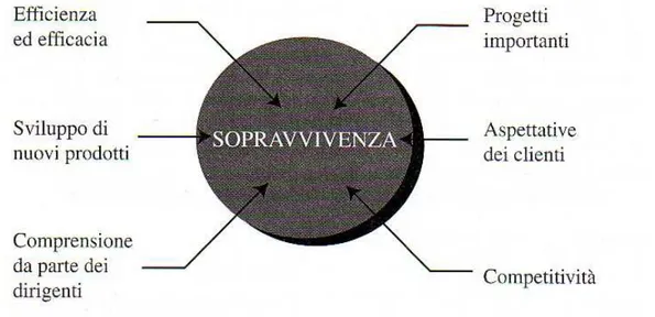 Fig. 1.1  Gli elementi della sopravvivenza.  