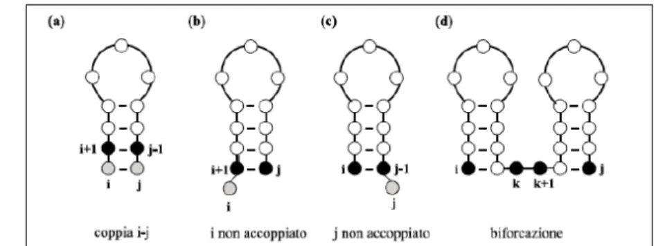Figura 1.4: accoppiamenti considerati nell’algoritmo di Nussinov