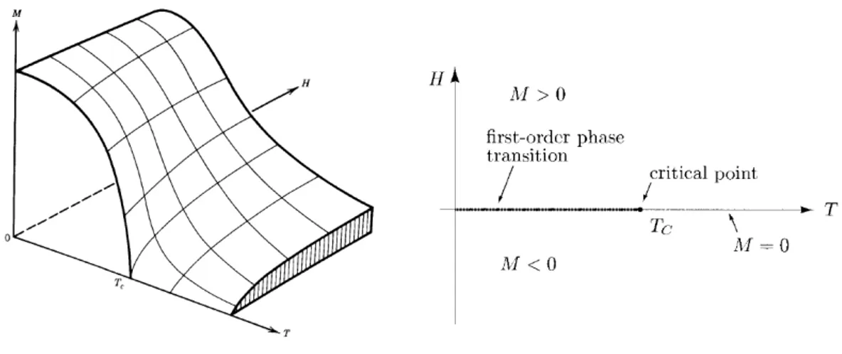 Figura 1.1: Diagramma di fase di un ferromagnete uniassiale.