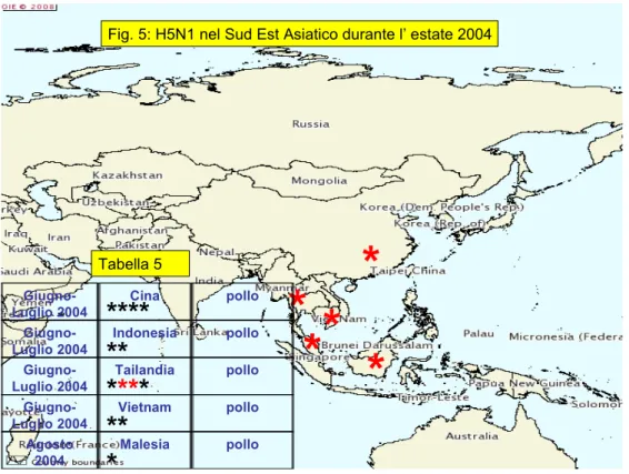 Fig. 5: H5N1 nel Sud Est Asiatico durante l’ estate 2004