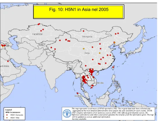 Fig. 10: H5N1 in Asia nel 2005