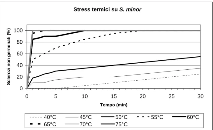 Fig. 4. Germinazione degli sclerozi di S. minor asottoposti a stress termici in diverse combinazioni temperatura x 
