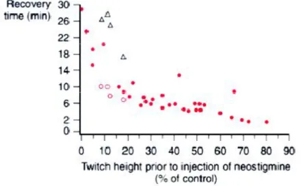 Figura 7: correlazione tra intensità della singola contrazione al momento della somministrazione  ev di un bolo di neostigmina (2, 5 mg) e il tempo trascorso per il suo ritorno al valore di controllo  (ridisegnato, da  Katz RL: Clinical neuromuscularpharma