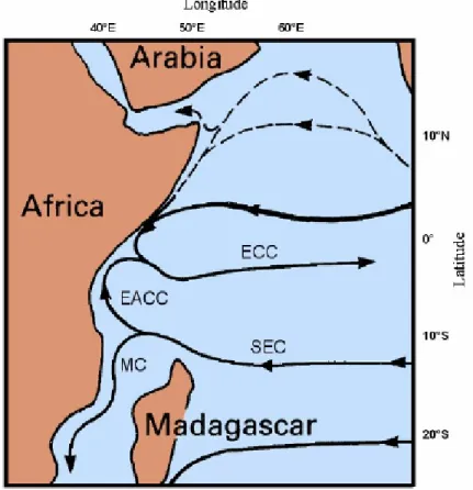 Figura 3.4.1.1 Schema della circolazione superficiale dell’oceano Indiano equatoriale  (adottato da  Tomczak &amp; Godfrey 2001)