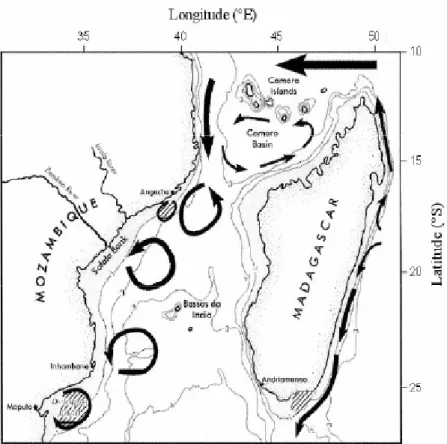 Figura 3.4.1.2 Principali caratteristiche della circolazione del Bacino delle Comore e del versante  occidentale del Canale del Mozambico (adottato da Lutjeharms 2004)