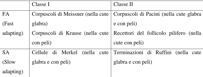 Tabella 1.1: schema delle caratteristiche dei vari meccanocettori; tra parentesi sono  specificati i siti dove si trovano i recettori