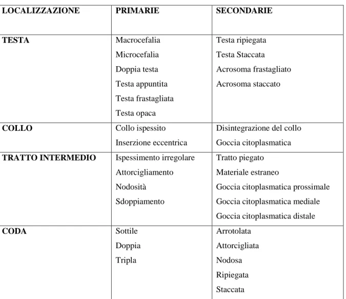 Tabella  n.3:  Elenco  delle  principali  anomalie  spermatiche  primarie  e  secondarie  (classificazione secondo Christiansen, 1987)