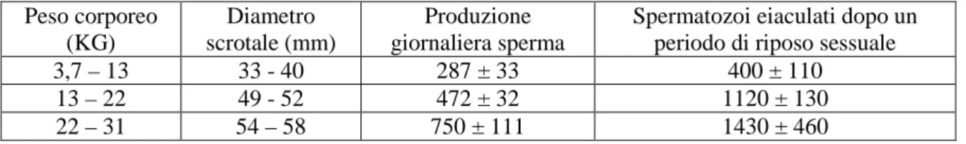 Tabella n.5:  Peso corporeo, diametro scrotale totale e conta spermatica nei cani normali  (secondo Meyers-Wallen, 1991)