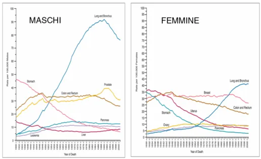 Figura 2.9: Decessi dovuti alle varie tipologie di cancro nella popolazione americana [6]