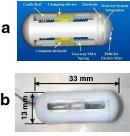 Figura 3.23: Disegno CAD (a) e prototipo (b) della capsula inchworm sviluppata da Byung Kyu et al.