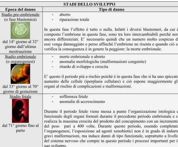 Tabella 3.2 Effetti delle sostanze tossiche in relazione allo stadio di sviluppo.