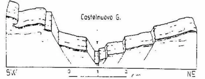 Fig. 2:  Fossa tettonica della Val di Serchio a livello di Castelnuovo Garfagnana (da Nardi, 1981)