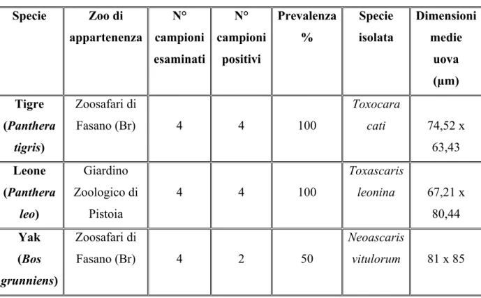 Tabella 3.5. Prevalenza degli Ascaridi isolati dalle diverse specie animali 