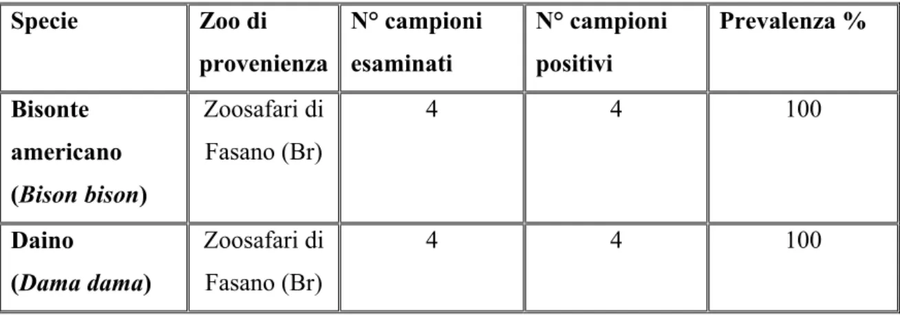 Tabella 3.2. Specie risultate positive per la presenza di Eimeria  spp. e relativa  prevalenza