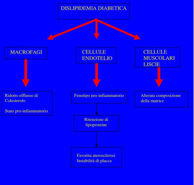 Fig. 9 Azione aterogena delle particelle lipoproteiche modificate in corso di Diabete a livello                dell’endotelio